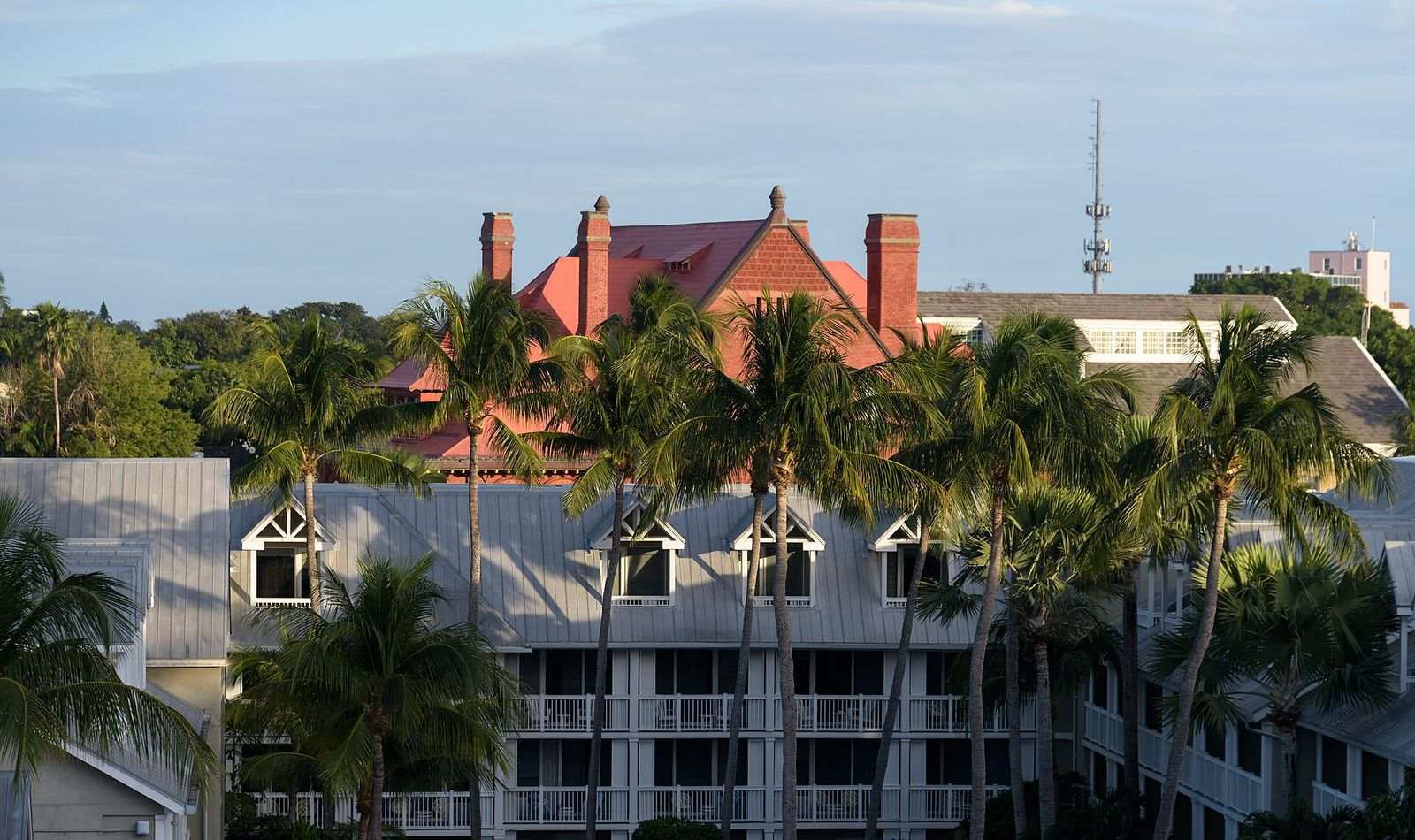 Telhados entre palmeiras em Key West, na Flórida