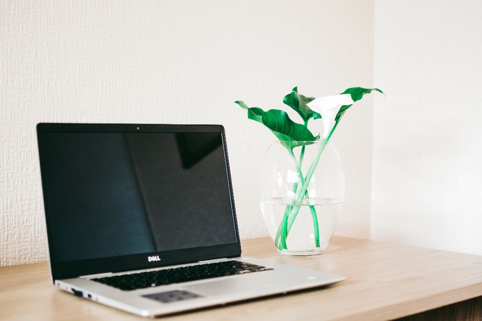 Notebook aberto ao lado de um vaso de planta sobre a mesa